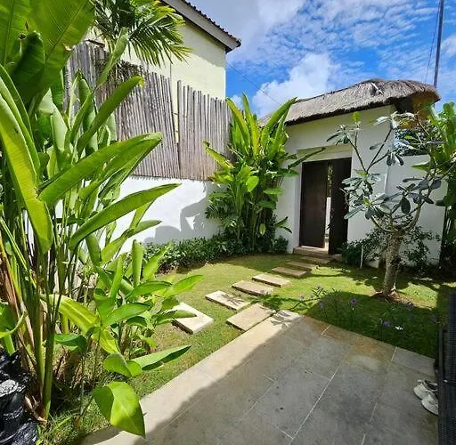 Kupukupu Balangan *